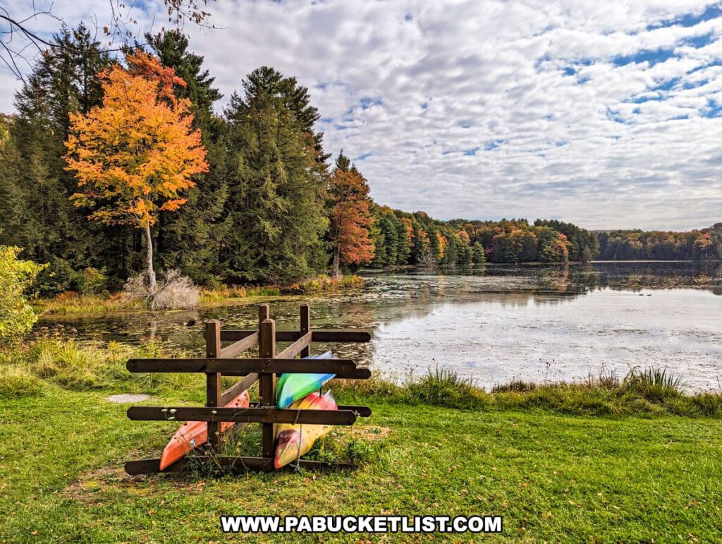 A picturesque autumn scene at Hills Creek State Park in Tioga County, Pennsylvania. In the foreground, a wooden picnic table and a rack holding colorful kayaks rest on a grassy area. One tree with bright orange leaves stands out among the mostly green forest that surrounds the serene lake. The calm water reflects the cloudy sky and the changing foliage, creating a peaceful and inviting outdoor setting.