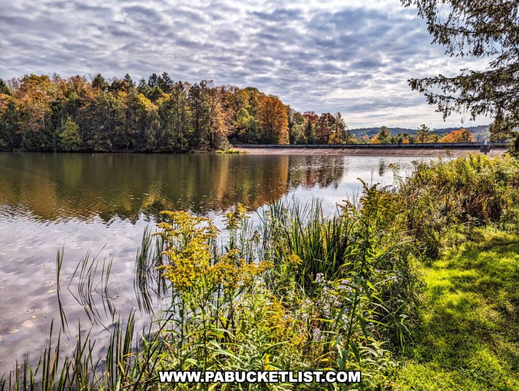 A picturesque view of a tranquil lake in Hills Creek State Park, Tioga County, Pennsylvania, during the fall season. The water is calm, reflecting the cloudy sky and the surrounding foliage. The foreground is framed by tall grasses and wildflowers, indicating the rich biodiversity of the area. On the opposite shore, a mix of evergreen and deciduous trees in varying shades of green, yellow, and orange suggests the changing seasons. A dam is partially visible in the distance, and the gentle hills in the background are cloaked in the colors of autumn. The overall atmosphere is peaceful and reflective of a typical northeastern fall landscape.
