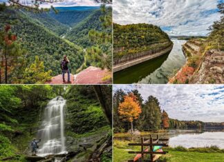 A collage of four photographs showcasing natural attractions in Tioga County, Pennsylvania. The top left image captures a hiker standing on a rocky overlook, gazing out over a lush, deep green valley with a river snaking through it. The top right photograph shows a high perspective of a waterway cutting through a forested landscape with colorful autumn foliage. The bottom left image features a photographer capturing a tall, cascading waterfall surrounded by dense greenery. The bottom right photo depicts a tranquil lakeside scene with a wooden picnic table and bench, a colorful umbrella, and kayaks resting on the grassy shore, with autumn-touched trees reflecting on the still water.