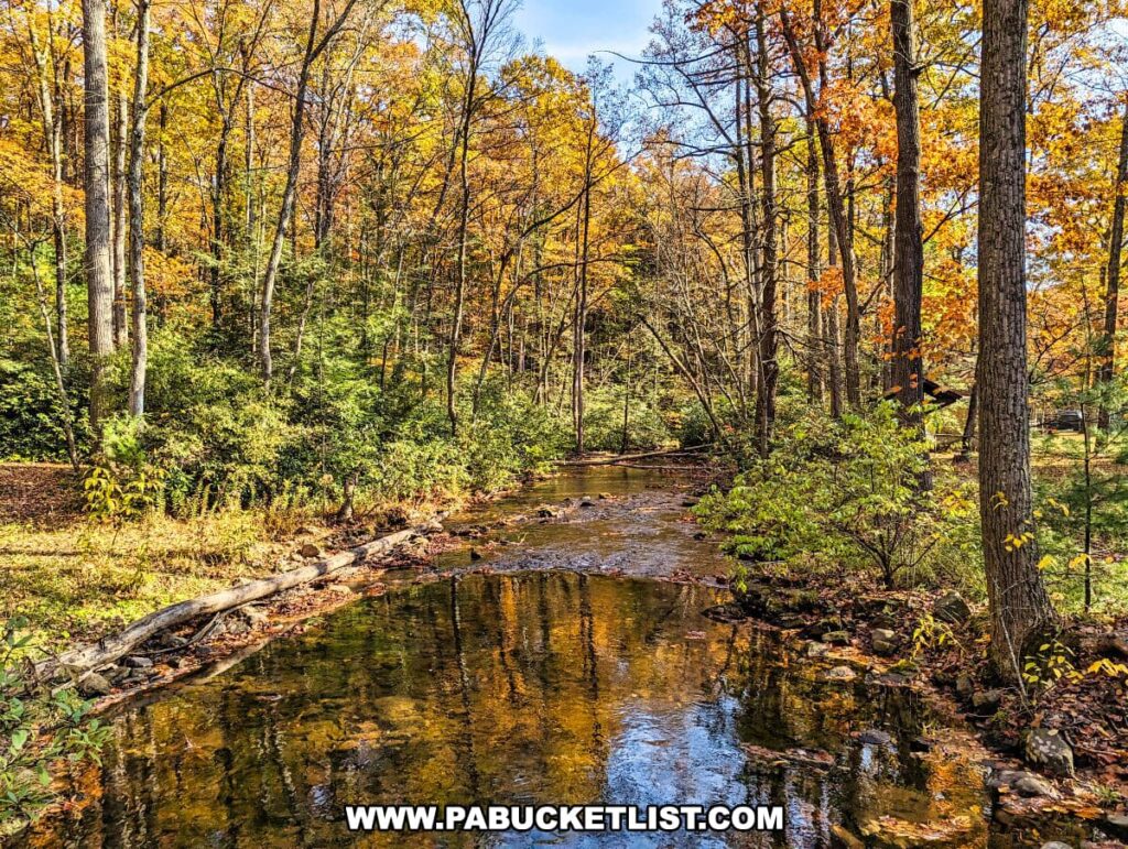 A peaceful stream meanders through Sand Bridge State Park in Union County, Pennsylvania, reflecting the clear blue sky above. The banks of the stream are lined with stones and fallen logs, amidst a forest of tall trees exhibiting the full splendor of autumn. Leaves in varying shades of yellow, orange, and red create a colorful canopy overhead, with some leaves floating on the water's surface, enhancing the fall atmosphere of this tranquil setting.