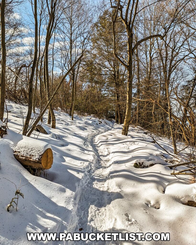 A snow-covered trail meanders through a winter forest at Stone Valley Vista along the Standing Stone Trail in Huntingdon County, Pennsylvania. The trail is marked by footprints and lined with bare deciduous trees and a cut log blanketed in snow. The bright sunlight filters through the tree branches, casting shadows on the snow and highlighting the serene, cold landscape under a clear blue sky.