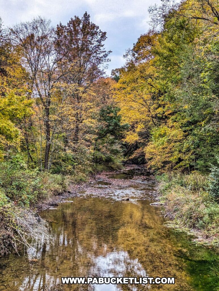 A serene scene of Little Yellow Creek running through Yellow Creek State Park in Indiana County, Pennsylvania. The creek meanders gently through a forested area, with trees displaying a vivid array of fall colors such as yellow, gold, and green. The reflection of the trees in the water adds to the tranquility of the setting. Overcast skies hint at the crisp weather typical of autumn in this region.