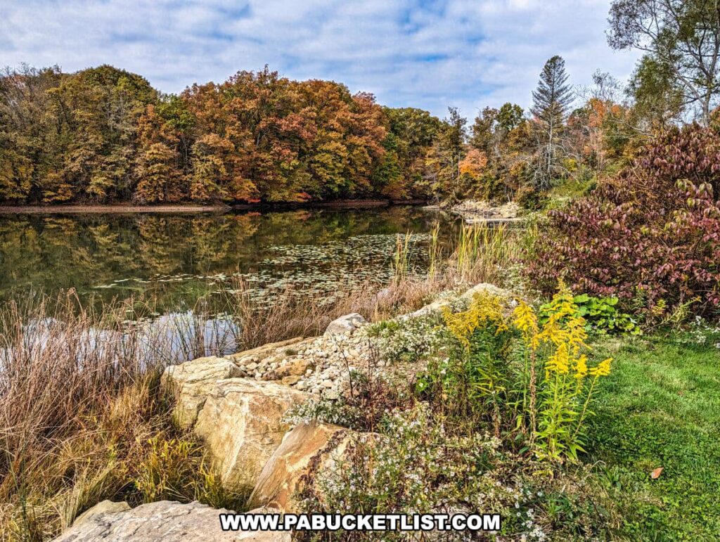 A vibrant lakeside landscape at Yellow Creek State Park in Indiana County, Pennsylvania. In the foreground, there are large rocks and a variety of plants, including tall grasses, wildflowers, and bushes with purple leaves, all indicative of the diverse flora of the region. The calm lake reflects the surrounding foliage, which is a tapestry of autumn colors, with trees ranging from green to shades of yellow, orange, and red. The scene is under a partly cloudy sky, suggesting a cool autumn day.