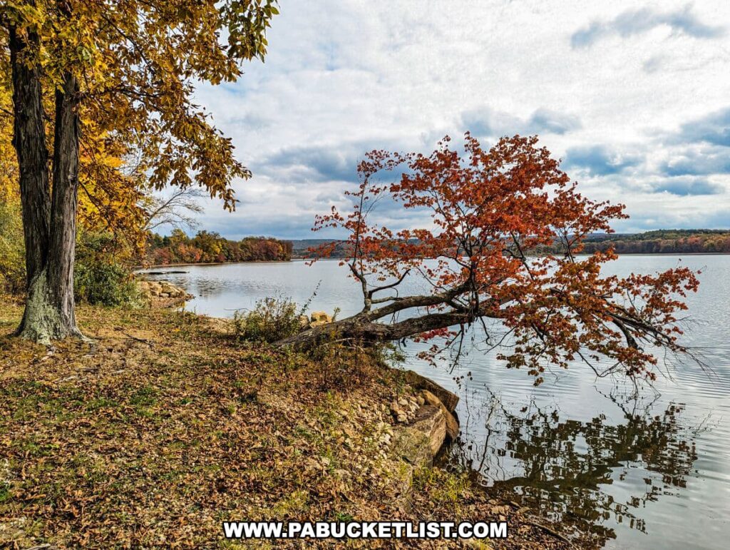A serene autumn view at Yellow Creek State Park in Indiana County, Pennsylvania. A tree with golden yellow leaves stands on the left, while a tree with bright red foliage leans out over the water on the right. The ground is covered with a carpet of fallen leaves. The lake is calm, reflecting the cloudy sky and the colorful trees along its bank. The far shore is lined with trees exhibiting the full spectrum of fall colors, and the horizon is dotted with the gentle hills of the park.