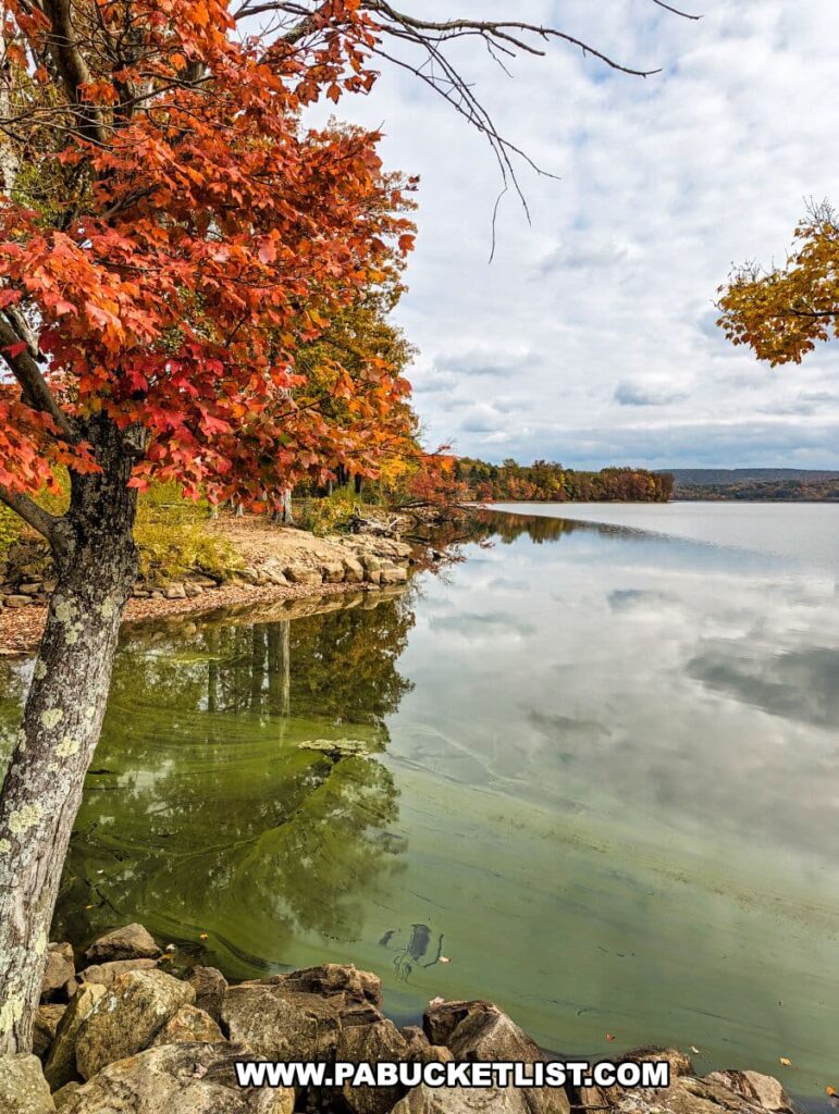 A picturesque autumn view at Yellow Creek State Park in Indiana County, Pennsylvania. It features a tree with striking red leaves on the shore of Yellow Creek Lake, its branches reaching out over the tranquil water. The lake reflects the cloudy sky and the surrounding foliage, with colors ranging from green to vibrant reds and oranges. A rocky shoreline anchors the scene in the foreground.