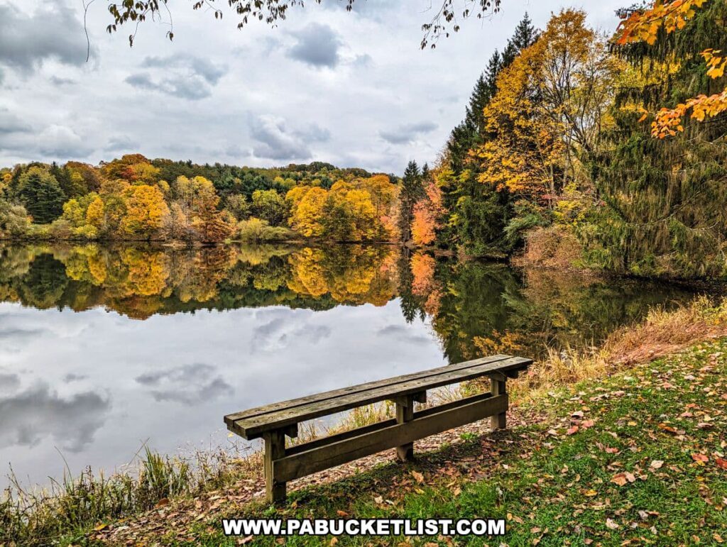 A tranquil spot at Yellow Creek State Park in Indiana County, Pennsylvania, featuring a wooden bench overlooking Dragonfly Pond. The water is still, reflecting the vibrant autumn foliage of the surrounding trees, which exhibit a spectrum of colors from green to yellow, orange, and red. The grey, cloudy sky above mirrors on the pond's surface, enhancing the quiet and reflective mood of the setting. The ground is strewn with fallen leaves, indicating the autumn season.