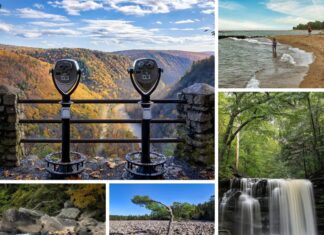 Scenes from Colton Point, Presque Isle. Ohiopyle, Hickory Run, and Rickett's Glen state parks in PA.