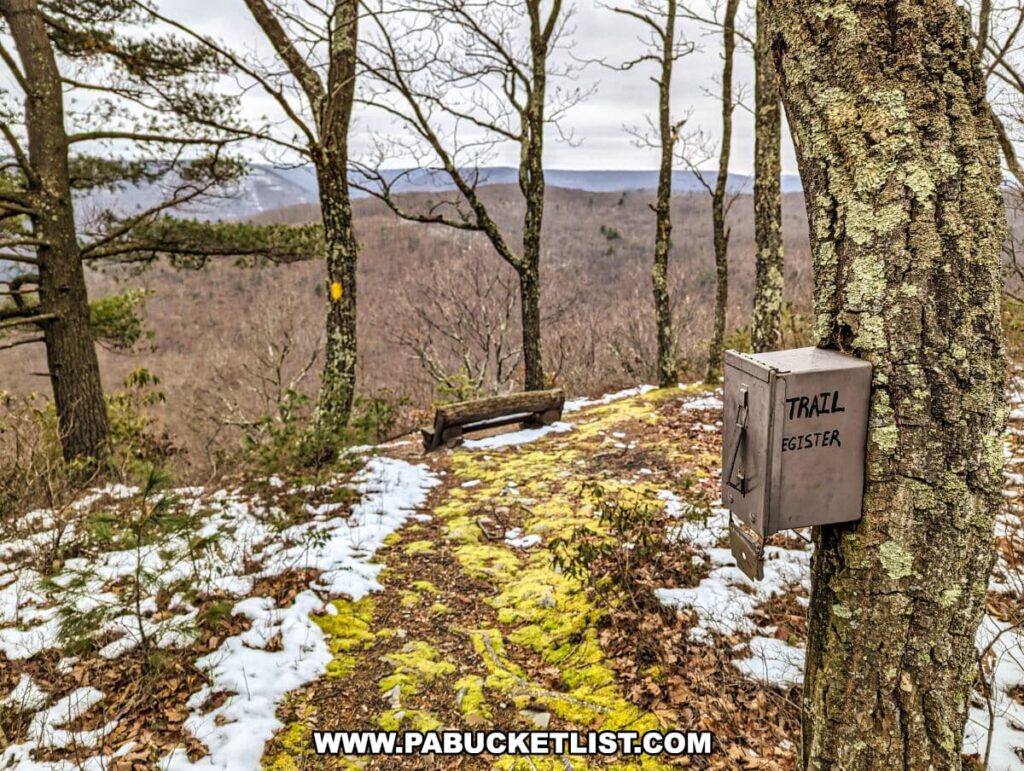 The image shows a trail register box mounted on a tree along the Bob Webber Trail in the Tiadaghton State Forest, Lycoming County, Pennsylvania. The box is labeled "TRAIL REGISTER". The trail is partially covered with snow and lined with moss, indicating it's a colder season. There's a bench overlooking the valley, providing a place for hikers to rest and enjoy the view of the forested hills stretching into the distance.