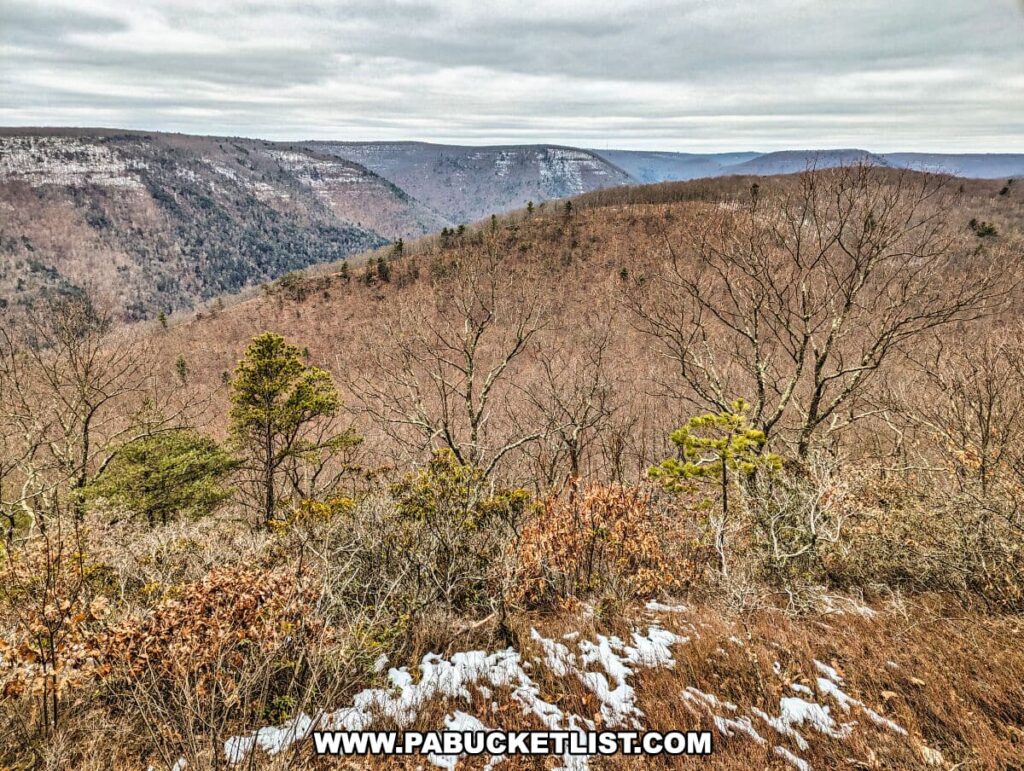 The photo captures a sweeping view from the Bob Webber Trail at Wolf Run Bald Vista in the Tiadaghton State Forest, Lycoming County, Pennsylvania. It shows a panoramic perspective of the mountainous terrain during what appears to be late fall or early winter, as indicated by the presence of snow patches on the ground, brown foliage, and bare trees. A solitary evergreen stands out among the leafless deciduous trees, highlighting the rugged and natural beauty of the area. The overcast sky suggests a cold and possibly brisk day in the forest.