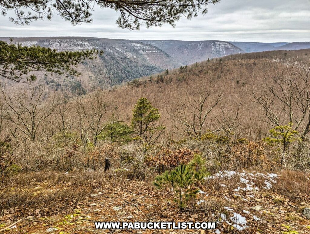 This image presents a view from the Bob Webber Trail in Tiadaghton State Forest, Lycoming County, Pennsylvania. The landscape features a series of rolling hills covered with bare deciduous trees and patches of evergreens, suggesting it's taken in the colder months with remnants of snow on the ground. The hills in the distance display a dusting of snow, contrasting with the brown tones of the forest. Overhead, the sky is filled with heavy clouds, indicating a typical overcast day in a late fall or winter setting.