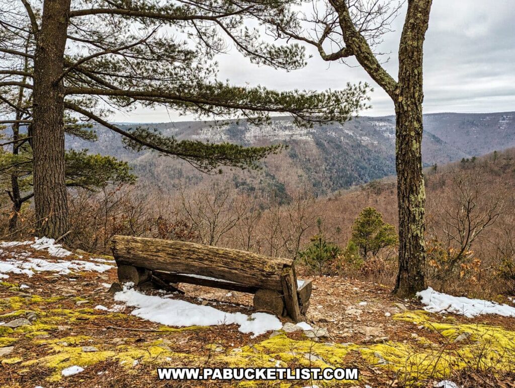 A weathered wooden bench sits on a moss-covered overlook on the Bob Webber Trail in the Tiadaghton State Forest, Pennsylvania. The bench is positioned for a panoramic view of the valley, flanked by pine trees and overlooking a landscape of leafless deciduous trees with snow-capped mountains in the distance. Patches of snow are visible on the ground, suggesting the season is either late fall or winter. The overcast sky above hints at the chill in the air typical of the colder months in this mountainous region.