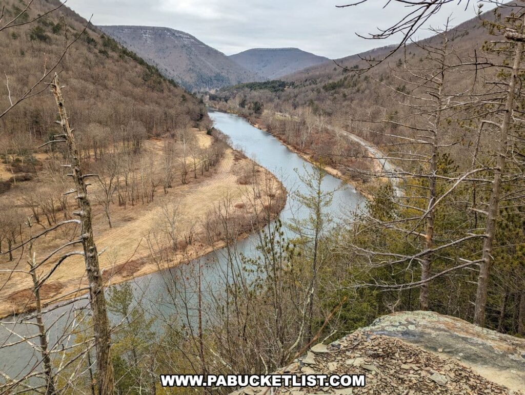 A view from the Pine Cliff Trail in Tiadaghton State Forest, featuring the winding Pine Creek in the valley below. The vista is framed by bare trees and evergreens, with a large, leafless tree in the foreground standing tall against the sky. The river curves through the landscape, bordered by sandy banks and embraced by hills with the last remnants of winter snow. The overcast sky suggests a late winter or early spring setting in the tranquil Pennsylvania wilderness.