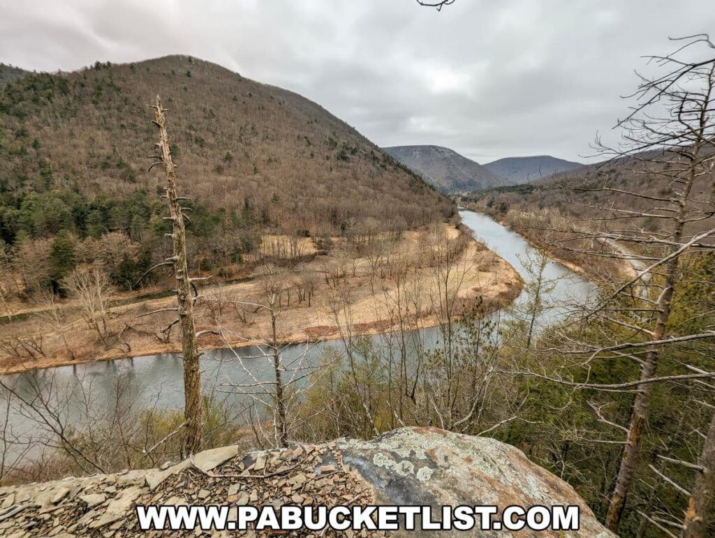 The photograph shows a serene winter or early spring view from the Pine Cliff Vista along the Pine Cliff Trail in Tiadaghton State Forest, Lycoming County, Pennsylvania. A meandering Pine Creek cuts through the valley, lined by bare deciduous trees and patches of evergreen. The riverbanks are colored with beige and light brown hues, indicative of vegetation in dormancy. The surrounding hills rise steadily, showcasing a mix of coniferous and leafless trees, with a backdrop of an overcast sky. The image captures the quiet beauty of the season in this forested landscape.