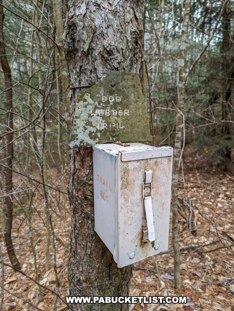 A trail register box attached to a tree at the start of the Bob Webber Trail in Tiadaghton State Forest, Lycoming County, Pennsylvania. Above the metal box, a faded and weathered sign reads "Bob Webber Trail." The box, showing signs of age and exposure to the elements, is closed with a rusting latch. The surrounding area is a dense mix of bare trees and evergreens, typical of a forested trail environment in a dormant season.