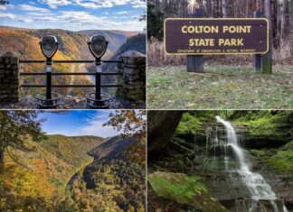 Scenes from Colton Point State Park in Pennsylvania.