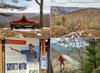 A collage of four images showcasing the Bob Webber Trail in Tiadaghton State Forest, Lycoming County, Pennsylvania: A person in a red sweatshirt and orange beanie stretches out on a wooden bench, overlooking a snowy vista with a panoramic view of the mountains. An informative signboard under a sheltered kiosk detailing the Bob Webber Trail, with photos and descriptions of the trail's features and hiking information. A wintery scene of the forest along the trail with patches of snow on the ground amidst leafless trees and evergreens. The same person in the red sweatshirt and orange beanie stands on a rocky outcrop, looking out over a river valley from a high vantage point.