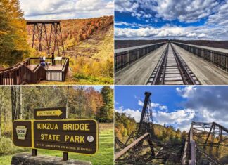 Scenes from Kinzua Bridge State Park in Pennsylvania.