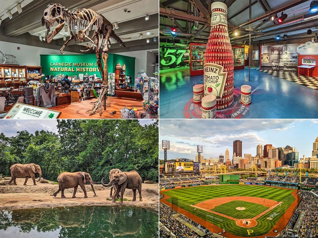 A collage of four images showcasing attractions in Allegheny County, Pennsylvania: Top left shows a dinosaur skeleton exhibit at the Carnegie Museum of Natural History; top right displays a creative arrangement of Heinz ketchup bottles in the shape of a larger bottle at the Heinz History Center; bottom left features three elephants near a watering hole at the Pittsburgh Zoo; and bottom right is an aerial view of PNC Park during a baseball game with the city skyline in the background.