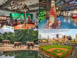 A collage of four images showcasing attractions in Allegheny County, Pennsylvania: Top left shows a dinosaur skeleton exhibit at the Carnegie Museum of Natural History; top right displays a creative arrangement of Heinz ketchup bottles in the shape of a larger bottle at the Heinz History Center; bottom left features three elephants near a watering hole at the Pittsburgh Zoo; and bottom right is an aerial view of PNC Park during a baseball game with the city skyline in the background.
