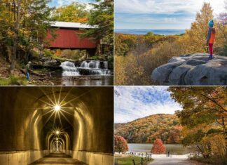 A collage of four images showcasing attractions in Somerset County, Pennsylvania. The top left image features a fisherman by a creek in front of a picturesque red covered bridge surrounded by autumn foliage. The top right photo shows a person standing on a rocky outcrop overlooking a vast landscape of colorful fall trees under a clear sky. The bottom left picture captures a well-lit tunnel with multiple lights creating a starburst effect. The bottom right image is a tranquil scene of a park with a bicyclist on a path next to a lake reflecting the vibrant autumn trees and blue sky.