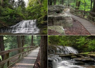 Scenes from Salt Springs State Park in Pennsylvania.