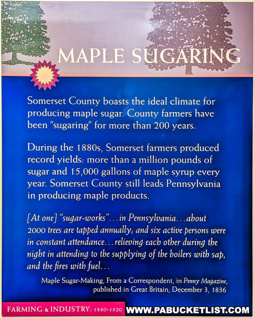 An informative display about the history of maple sugaring in Somerset County, viewed during the Somerset County Maple Taste and Tour event. The top half of the display features the heading 'MAPLE SUGARING' in large letters with a silhouette of a maple tree. Below, a text in blue background details the county's over 200-year history of maple sugar production, its ideal climate, and the significant yields of the 1880s. A quote from an 1836 magazine article describes the labor-intensive process of maple sugar-making. The display is a visual narrative of Somerset County's rich tradition in maple syrup production.