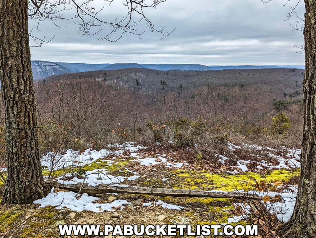 A wintertime view from the Wolf Run Bald Vista along the Bob Webber Trail in the Tiadaghton State Forest, Lycoming County, Pennsylvania. Patches of snow cover the ground amidst vibrant green moss, with bare deciduous trees framing the scene. In the distance, rolling hills stretch to the horizon under a cloudy sky, showcasing the quiet, dormant beauty of the region's landscape.