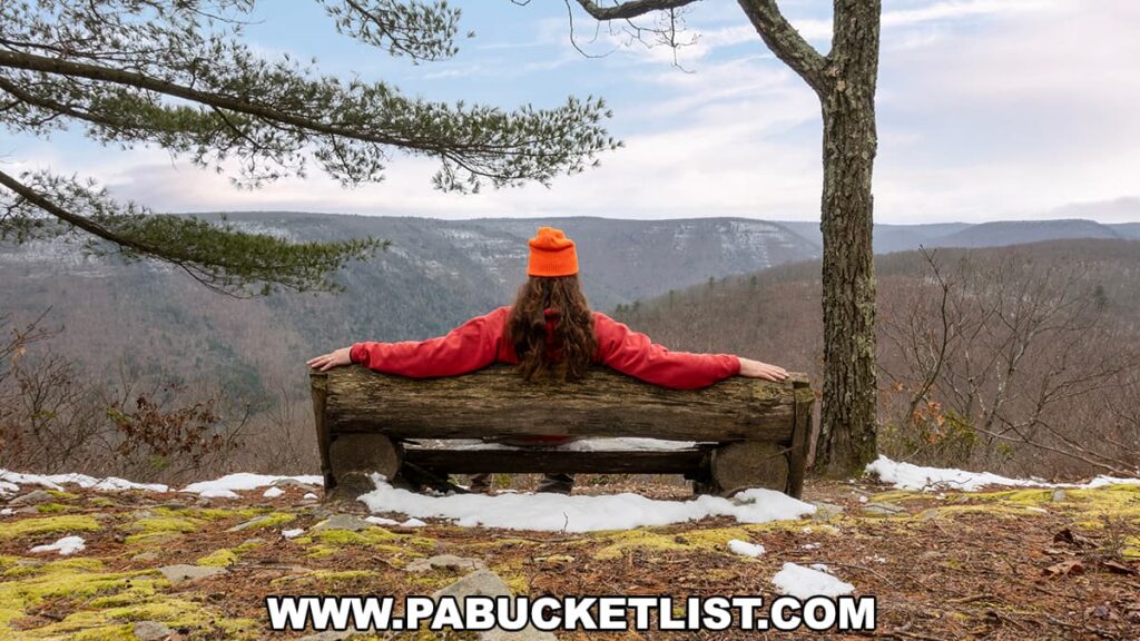 A person in a red sweatshirt and bright orange beanie lies prone on a rustic wooden bench at the Wolf Run Bald Vista along the Bob Webber Trail, Tiadaghton State Forest, Lycoming County, Pennsylvania. They are facing the expansive view of the forested valley and distant mountains. Patches of snow on the ground indicate the cold season, while the bare trees suggest late fall or winter. The overcast sky casts a soft light over the serene landscape.