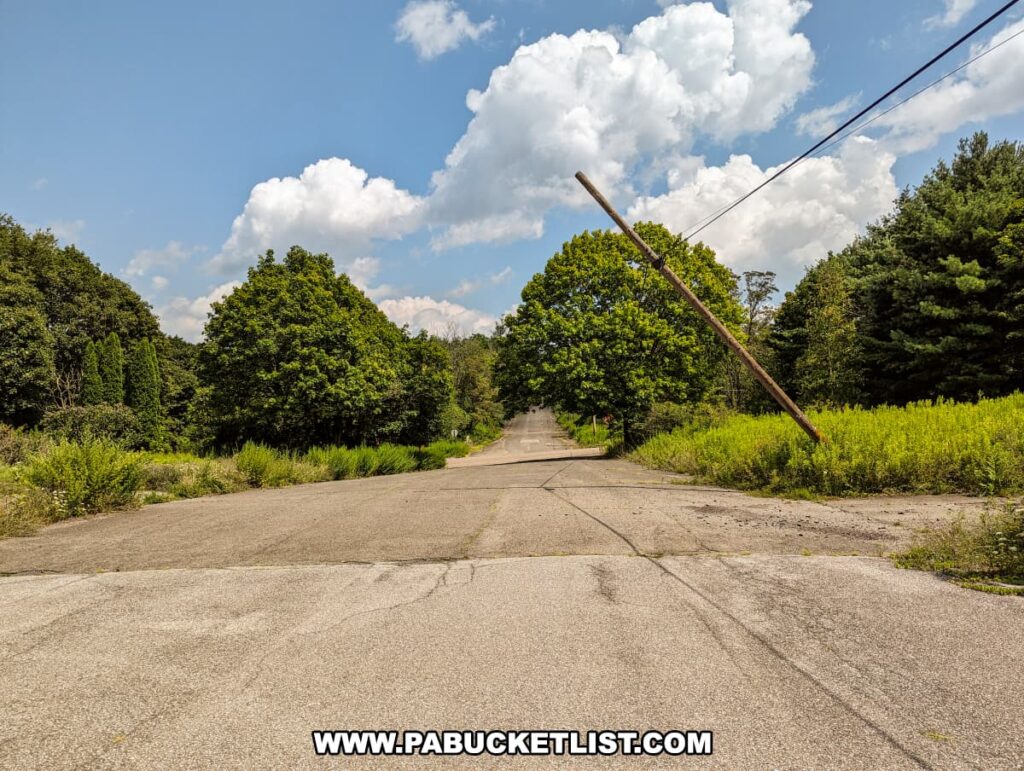 The photo depicts a desolate street in Centralia, Pennsylvania, with an overcast sky. Overgrowth flanks the cracked asphalt roadway, displaying nature's reclamation of the area. In the foreground, a tilted utility pole, still connected by wires, angles precariously over the road, symbolizing the decay and abandonment of the once-thriving town due to the devastating underground mine fire that has been burning since 1962.