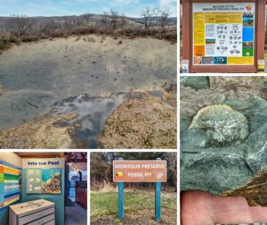 A collage of five photos from the Montour Preserve fossil pit near Danville, Pennsylvania. The top left image shows an aerial view of the barren fossil pit. The top right photo is of the information kiosk with educational displays about the site. The middle right photo features a close-up of a hand holding a fossil. The bottom left picture shows the 'Into the Past' exhibit within the visitor center, and the bottom center image displays the Montour Preserve Fossil Pit sign on a post. The images collectively represent the educational and recreational experience at the fossil pit.