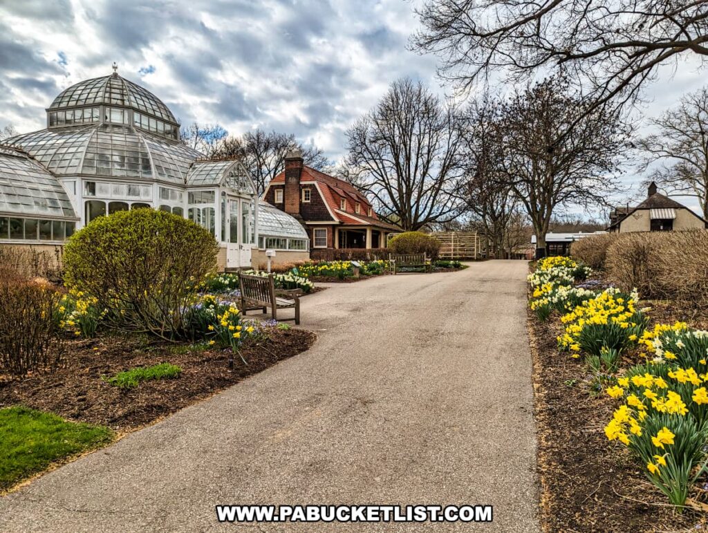 A path at the Henry Clay Frick estate in Pittsburgh, Pennsylvania, leads towards a glass-domed greenhouse. The walkway is lined with vibrant yellow daffodils and other early spring blooms, nestled among trimmed bushes and mulched garden beds. Leafless trees overhead suggest the transition from winter to spring. A wooden bench offers a spot for visitors to rest and enjoy the gardens. The scene is a blend of horticultural care and natural beauty, inviting a peaceful walk through the estate's grounds.