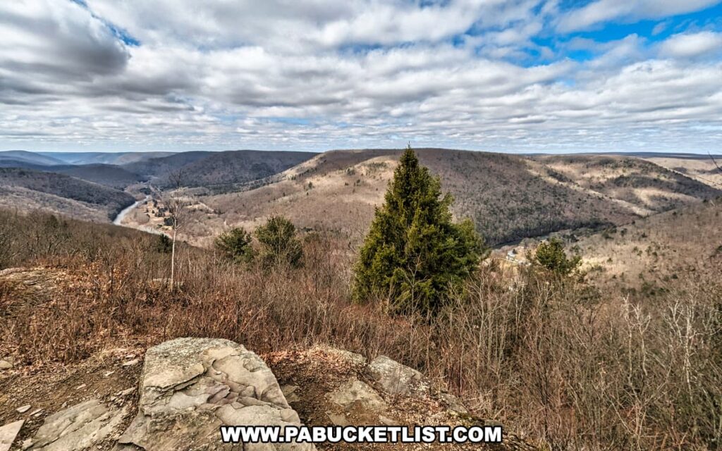 A panoramic view from Gillespie Point scenic overlook, showcasing the sweeping landscape of Tioga County, Pennsylvania. The forefront features a rocky outcrop with a scattering of young, leafless trees and evergreens, while a river meanders through the valley below, flanked by rolling, forested hills that fade into the horizon under a partly cloudy sky.