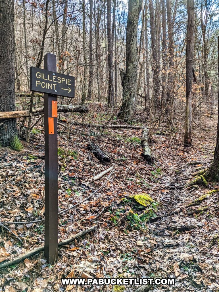 A trail sign indicating 'GILLESPIE POINT' with an arrow pointing right, located along the Mid State Trail in Tioga County, Pennsylvania. The sign stands amid a forest floor covered with fallen leaves, with moss-covered rocks and a variety of slender, leafless trees in the background, all under soft, dappled sunlight.
