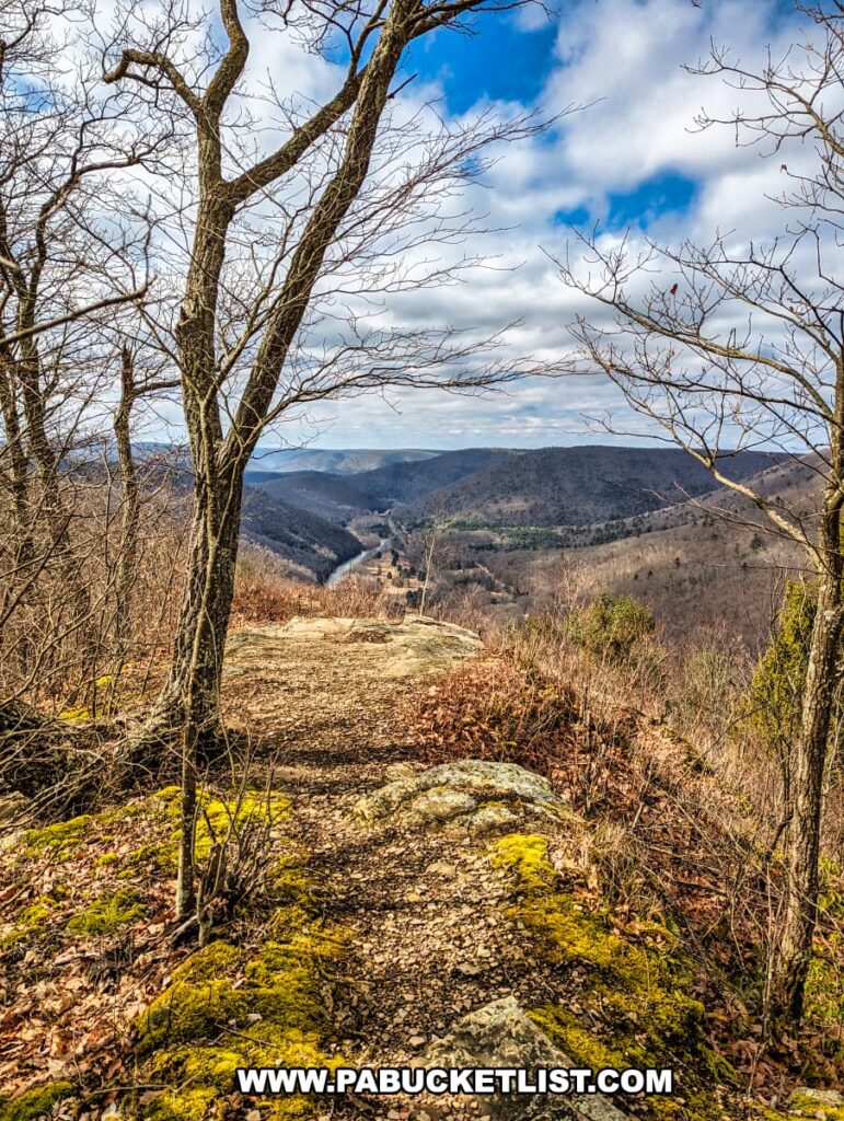 A mossy section of the Mid State Trail at Gillespie Point scenic overlook, with a stunning view of the rolling hills of Tioga County, Pennsylvania. The trail is bordered by leafless trees and covered with a mix of rocks and patches of green moss, suggesting the season might be early spring. The path leads the eye toward the distant hills under a partly cloudy sky, offering hikers a sense of adventure along the trail.