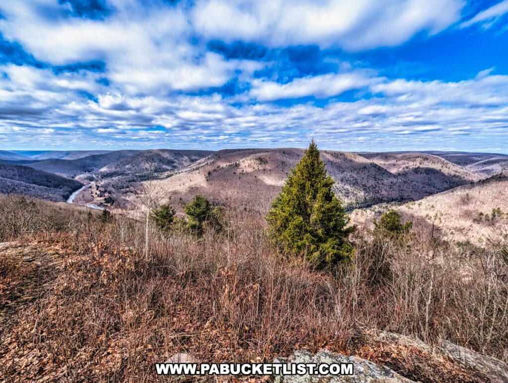 A breathtaking panoramic view from Gillespie Point scenic overlook along the Mid State Trail in Tioga County, Pennsylvania. This vista showcases a vibrant evergreen tree in the foreground, standing out against the muted colors of the surrounding leafless deciduous trees. A river snakes through the valley below, cutting between rolling hills that stretch into the distance under a dynamic sky of white clouds scattered across the blue. The landscape is a stunning display of natural beauty, typical of the Appalachian region.