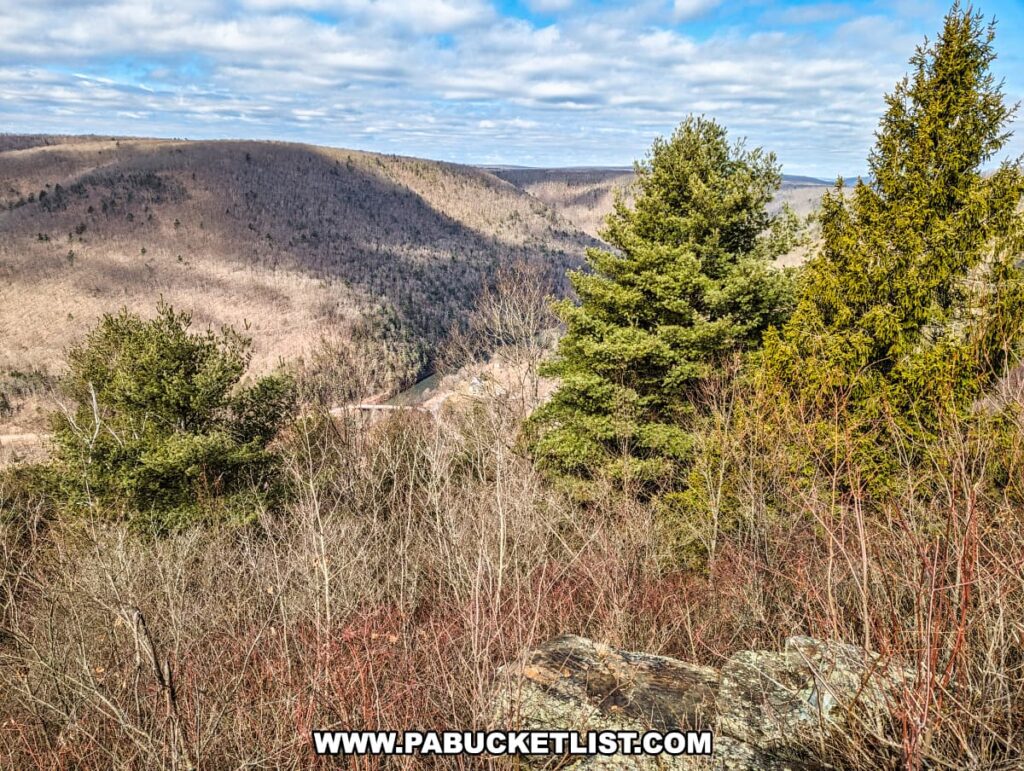 An elevated view from Gillespie Point scenic overlook, featuring the lush greenery of evergreen trees against a backdrop of rolling, barren hills of Tioga County, Pennsylvania. A glimpse of a road or river can be seen through the trees in the middle distance. The landscape, under a blue sky with scattered clouds, is a testament to the natural beauty found along the Mid State Trail, even in seasons when most trees are without leaves.