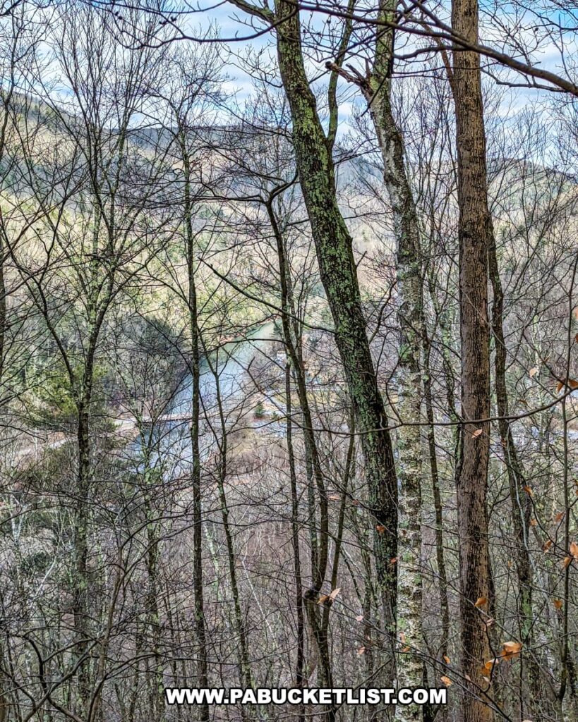 Looking through a natural window of thin, bare trees on the Mid State Trail near Gillespie Point in Tioga County, Pennsylvania, a glimpse of a serene river can be seen in the valley below. The trees' trunks are adorned with lichen and the last of the autumn leaves cling to the branches, hinting at the quiet transition into winter.
