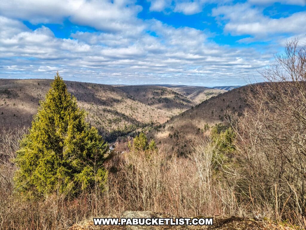 A stunning view from Gillespie Point scenic overlook, with a solitary evergreen tree prominently in the foreground. The tree stands tall among a forest of bare deciduous trees, overlooking the vast Pine Creek Gorge in Tioga County, Pennsylvania. The undulating hills roll into the distance under a sky dotted with fluffy white clouds, showcasing the natural splendor of the region as seen from the Mid State Trail.
