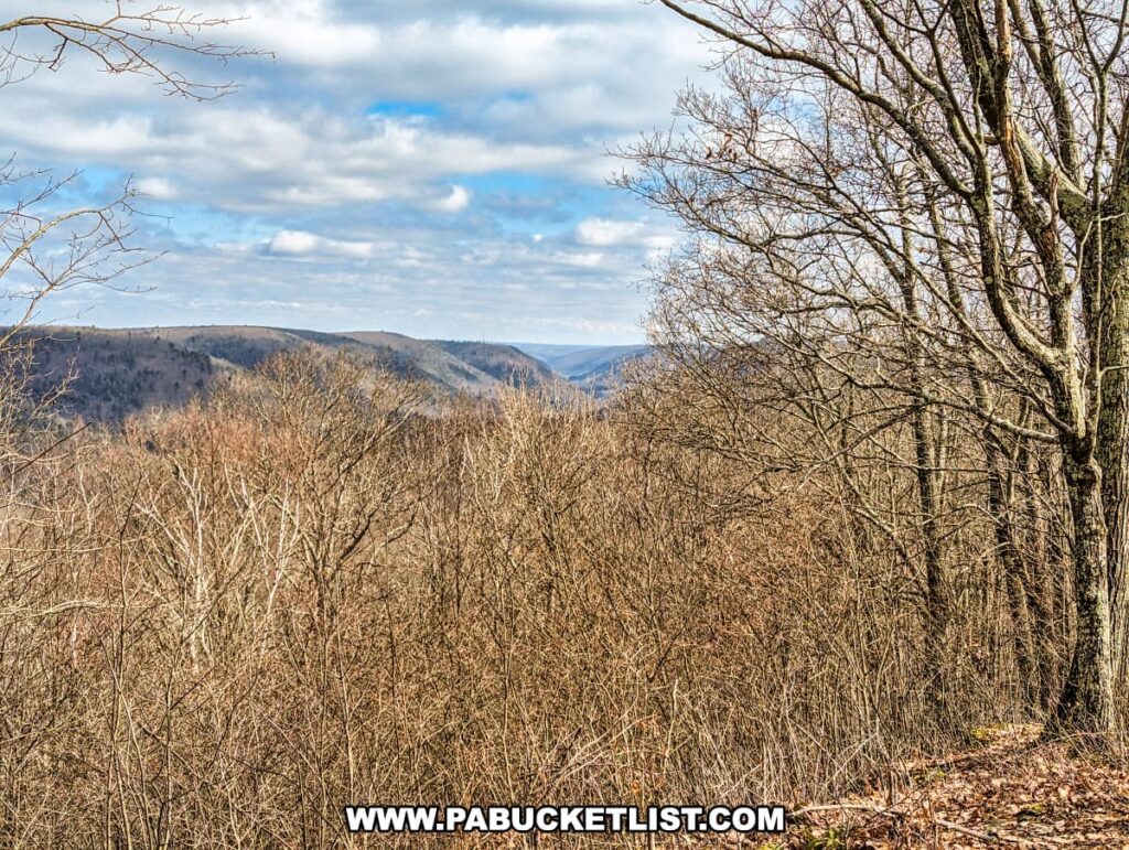 A view through the dense, leafless branches of a forest in late fall or early spring at Gillespie Point, looking towards the east along the Mid State Trail in Tioga County, Pennsylvania. The barren trees reveal the rolling hills of the distant landscape, partially obscured by the forest canopy. Above, the sky is a bright mix of blue and cloud, hinting at the changing seasons in this scenic wilderness area.