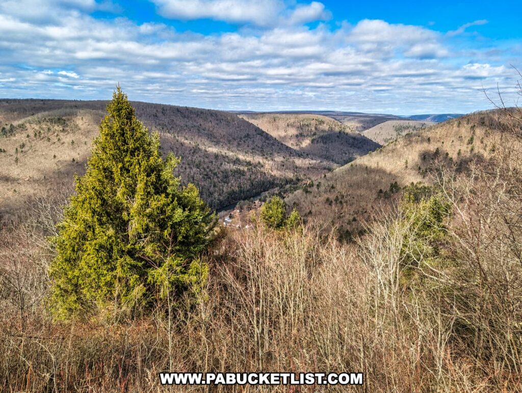 Lush evergreen tree stands prominently against a backdrop of rolling hills in Tioga County, Pennsylvania, as seen from Gillespie Point scenic overlook. The hills are covered with bare deciduous trees, suggesting the transition between seasons. The vast landscape opens under a partly cloudy sky, offering a stunning view that exemplifies the natural beauty along the Mid State Trail.