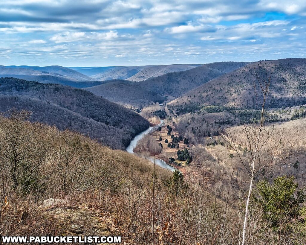 Elevated view from Gillespie Point overlooking a meandering Pine Creek cutting through the forested valley of Tioga County, Pennsylvania. The landscape is a mix of leafless deciduous trees and scattered evergreens, typical of the late fall or early spring season. The river and adjacent rural road are flanked by the rolling hills of the Appalachian region, under a sky streaked with clouds.