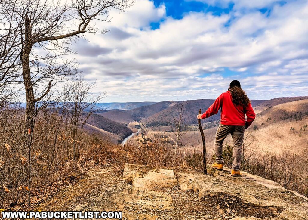 A hiker stands at the edge of Gillespie Point scenic overlook on the Mid State Trail in Tioga County, Pennsylvania. The overlook provides a panoramic view of a river valley with forested rolling hills stretching into the distance. The hiker, in profile from behind, gazes out over the landscape while leaning on a walking stick. They wear a red jacket, gray pants, and brown hiking boots. The sky is partly cloudy, suggesting a cool or mild weather. The bare trees indicate it might be late fall or winter. The terrain at the overlook is rocky with some grass and low shrubs, typical of a well-traveled hiking trail.