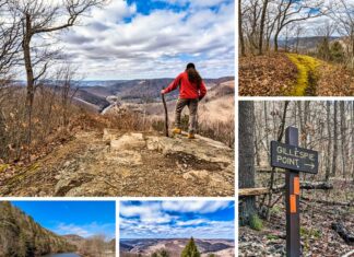 This is a collage of five photos from Gillespie Point scenic overlook along the Mid State Trail in Tioga County, Pennsylvania. The central image features a hiker in a red jacket and brown boots, using a walking stick, standing on rocky terrain and looking out over a valley with leafless trees and a winding river. The top-right image showcases a verdant moss-covered trail leading through bare trees. The bottom-left image depicts a serene river curving through a forested valley. The bottom-middle photo offers a wide view of a valley with coniferous and deciduous trees and distant hills under a partly cloudy sky. Finally, the bottom-right image is of a wooden signpost with "GILLESPIE POINT" painted in white on a black background, with an arrow indicating the direction to the overlook, set among fallen leaves and bare trees.