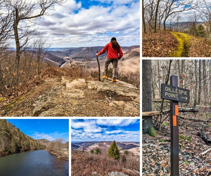 This is a collage of five photos from Gillespie Point scenic overlook along the Mid State Trail in Tioga County, Pennsylvania. The central image features a hiker in a red jacket and brown boots, using a walking stick, standing on rocky terrain and looking out over a valley with leafless trees and a winding river. The top-right image showcases a verdant moss-covered trail leading through bare trees. The bottom-left image depicts a serene river curving through a forested valley. The bottom-middle photo offers a wide view of a valley with coniferous and deciduous trees and distant hills under a partly cloudy sky. Finally, the bottom-right image is of a wooden signpost with 