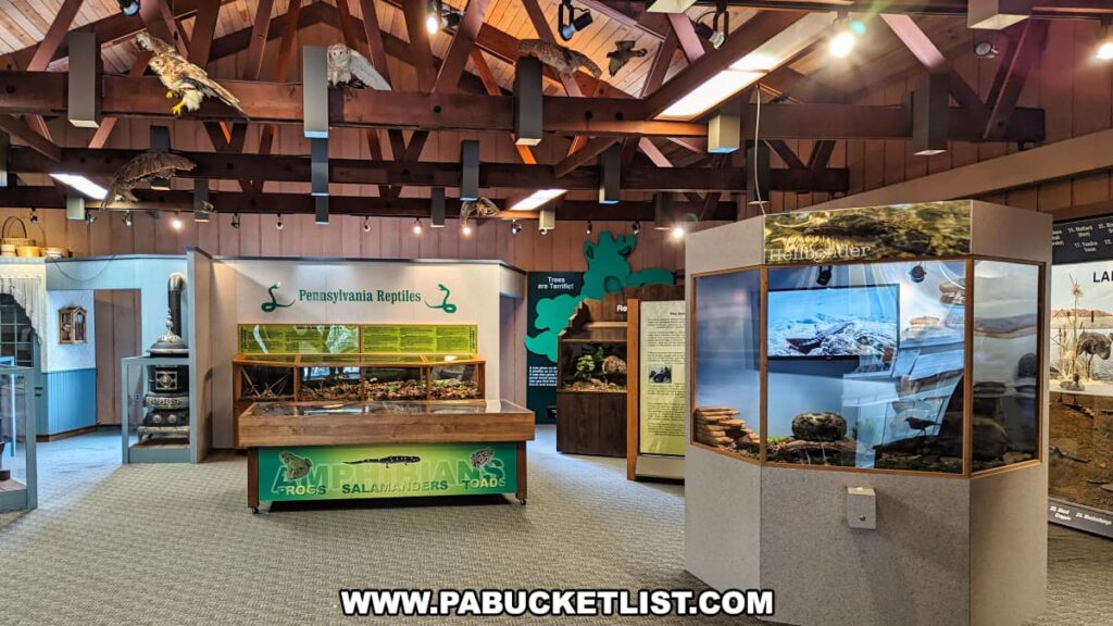 Inside the Montour Preserve near Danville, Pennsylvania, the visitor center features educational displays. The centerpiece is a large "Pennsylvania Reptiles" exhibit showcasing various reptile species with information panels on frogs, salamanders, and toads. Hanging from the wooden beam ceiling are models of birds in mid-flight, adding to the naturalistic ambiance. To the right, there is a curved display with photographs related to local water bodies, possibly educating on the ecosystem. The room has a carpeted floor and multiple display cases, suggesting an interactive and educational environment for visitors of all ages.