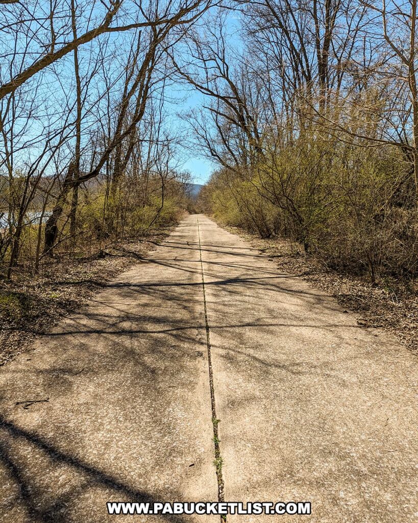 A narrow concrete path stretches ahead, flanked by the barren branches of early spring trees and shrubs under a clear blue sky. This former roadway, known as the Sunken Highway, now serves as a tranquil walking trail. The centerline, a faded reminder of its past, leads the eye forward, while the surrounding nature hints at its reclamation by the landscape. Shadows of the trees stripe the path, adding a rhythmic pattern to the scene. This tranquil pathway offers a unique blend of history and nature at Bald Eagle State Park.