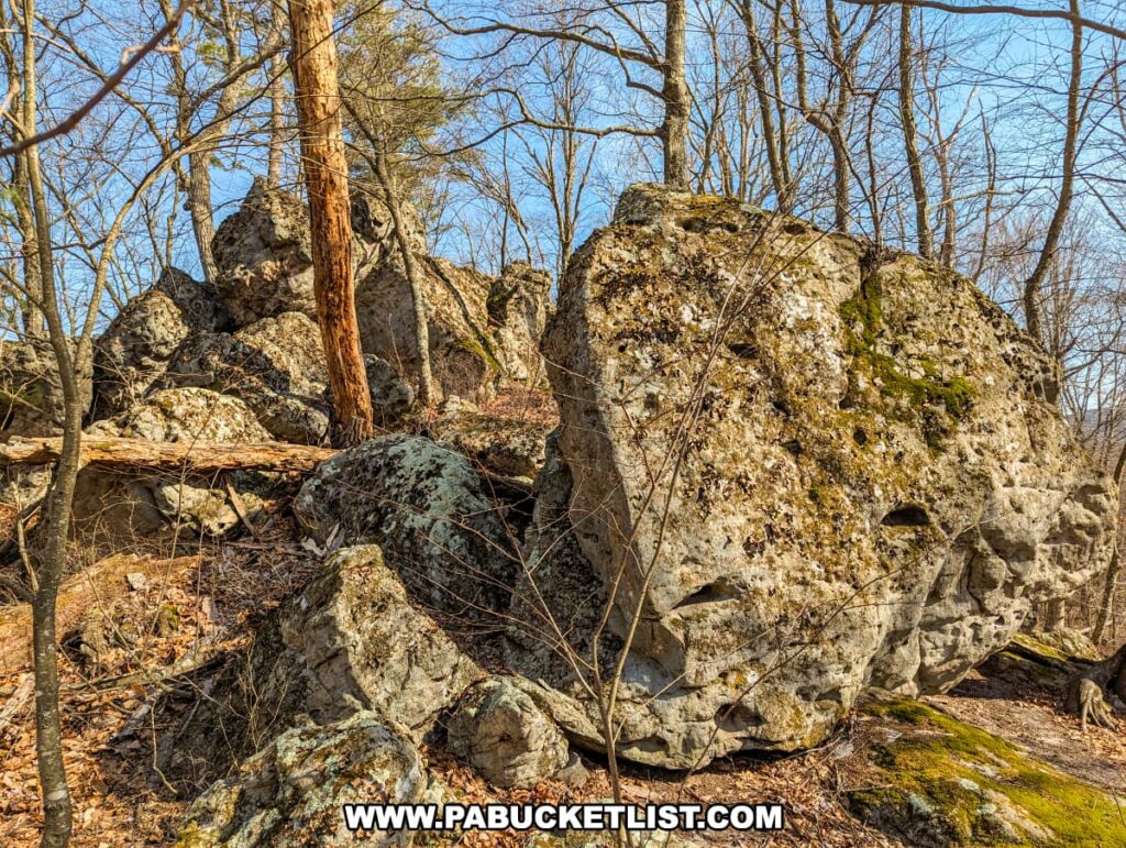 A photo capturing a rugged terrain of the Three Sisters Rock Formation with large, moss-covered boulders strewn across the forest floor along the Standing Stone Trail in Huntingdon County, Pennsylvania. The boulders have a variety of holes and indentations, showcasing centuries of natural erosion. Leafless trees surround the rocks, highlighting the forested environment in which these geological features are situated. The ground is blanketed with dry leaves, indicating a late fall or winter season.