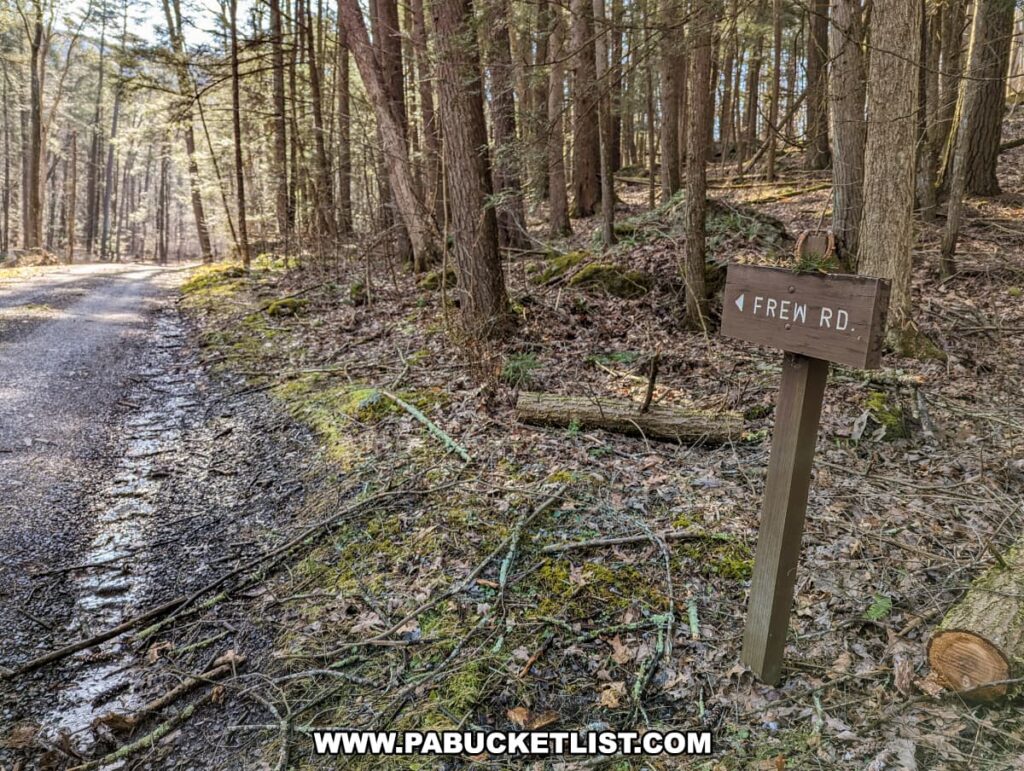 Frew Road leading to the Three Sisters Rock Formation trailhead along the Standing Stone Trail in Huntingdon County, Pennsylvania, featuring a rustic wooden signpost against a background of a gravel path, mossy underbrush, and tall forest trees.