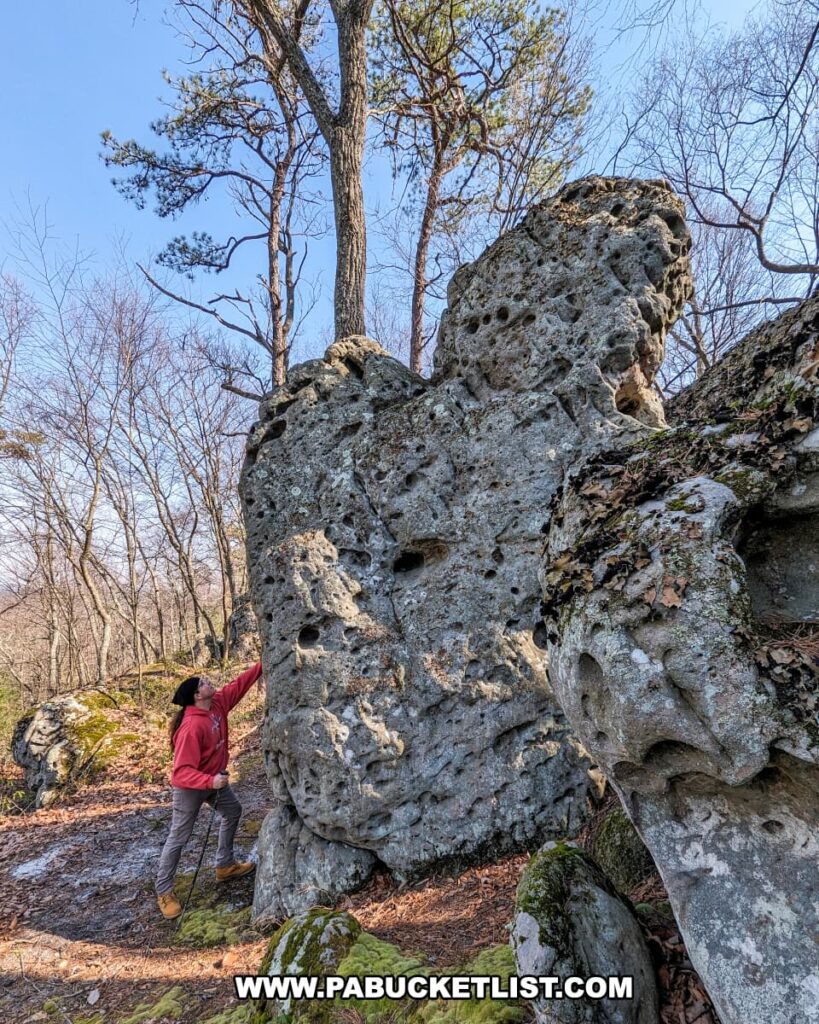 A person in a red hoodie and beige pants is reaching out to touch a large, pocked rock at the Three Sisters Rock Formation along the Standing Stone Trail in Huntingdon County, Pennsylvania. Tall trees with bare branches stand against a clear sky in the background, highlighting the natural landscape.