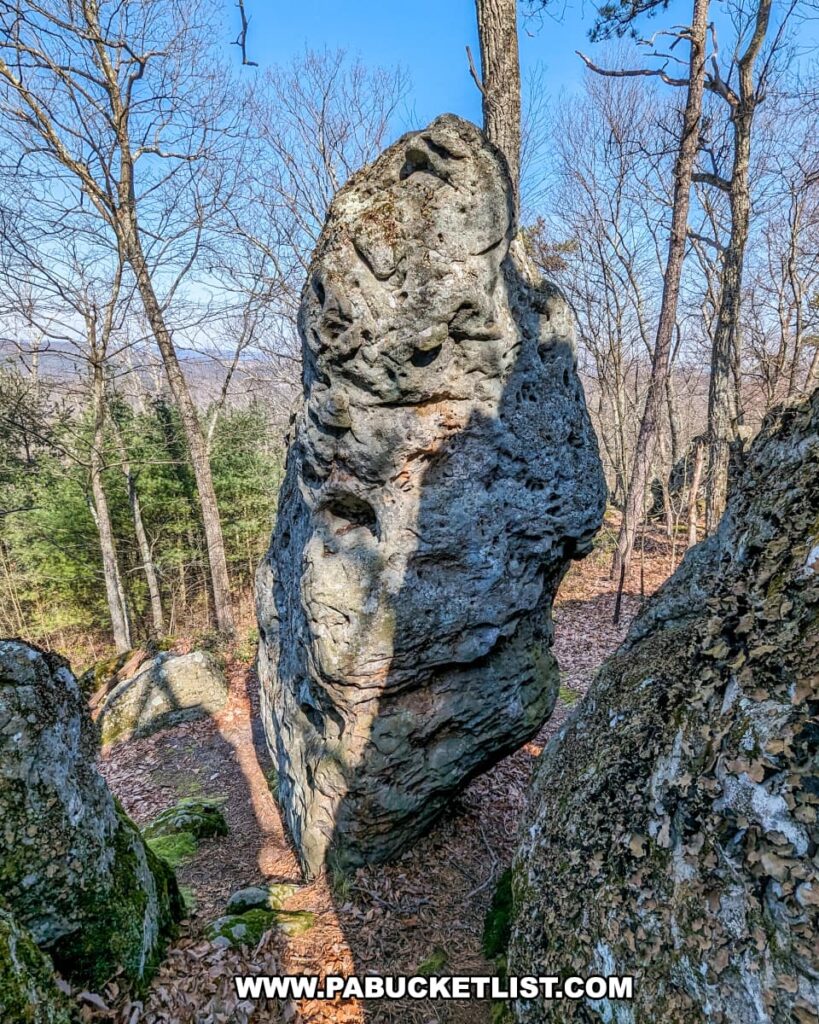 A solitary, towering rock formation, part of the ridge near Three Sisters formation along the Standing Stone Trail in Huntingdon County, Pennsylvania, stands prominently among a forest of bare trees and evergreens, showcasing its unique weathered surface under a clear sky.